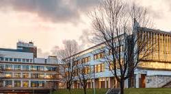 Bachelor of Management & Economics